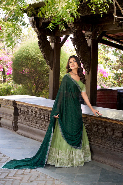 SILVER GLOSY EMBROIDERED WITH HOTFIX LEHENGA CHOLI WITH DUPATTA(WD89)(01)