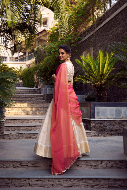 TILTON JEQUARD CHEX ZARI WEAVING WORK LEHENGA CHOLI WITH DUPATTA
