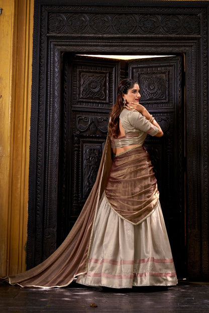 DUPION SILK ZARI WEAVING LEHENGA CHOLI WITH SHIMMER DUPATTA (WDN79)