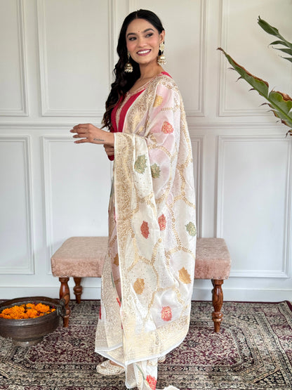 New Exclusive Check this our beautiful dresses collection (NFRD508)