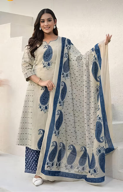 Premium cotton straight kurti dress (RD48)