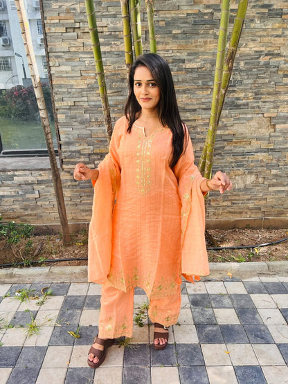 Elegance Embroidered Suit Set (RRRD66 RR TULSHI)