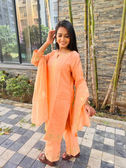 Elegance Embroidered Suit Set (RRRD66 RR TULSHI)