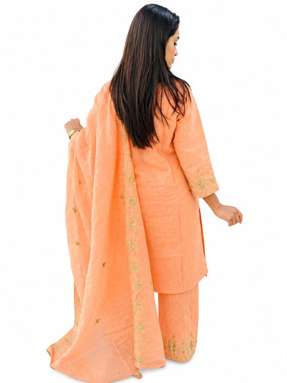 Elegance Embroidered Suit Set (RRRD66 RR TULSHI)